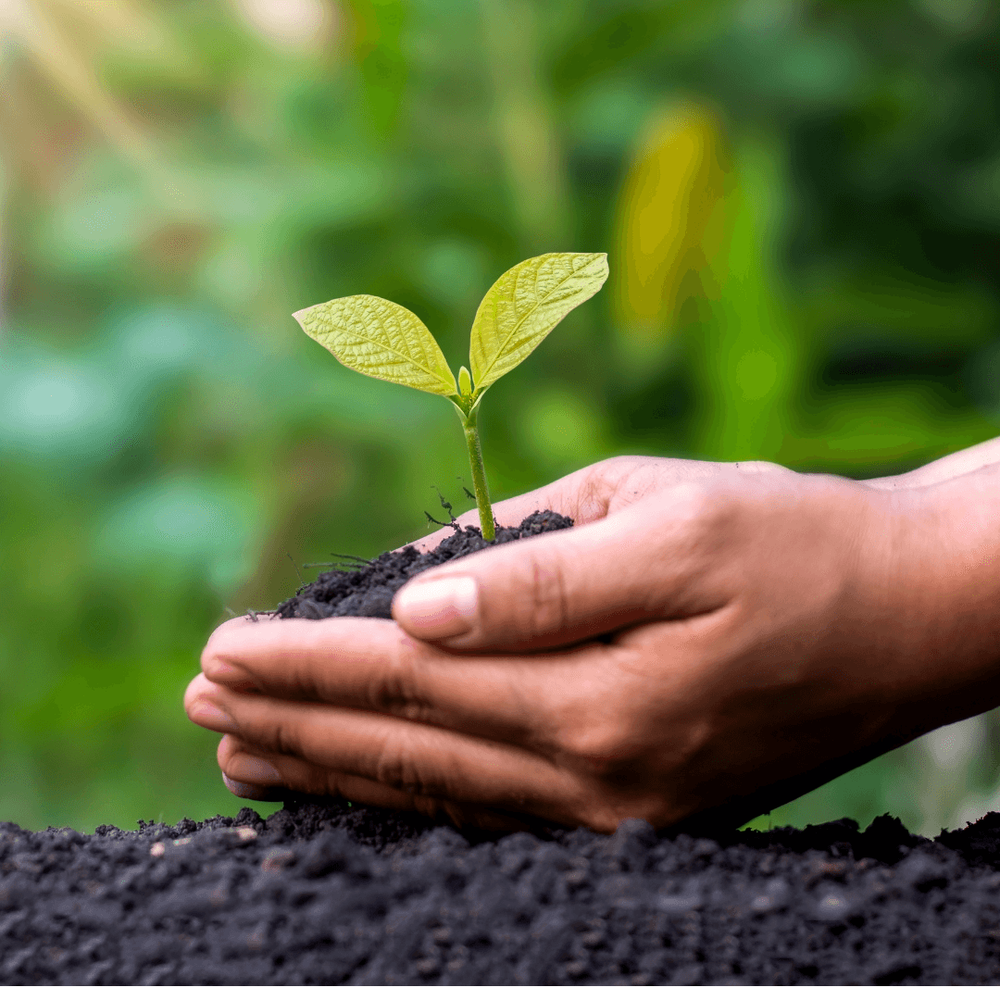 Gráfica para redes sociales seminario laudato si