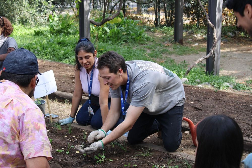 Imagen Principal de la actividad