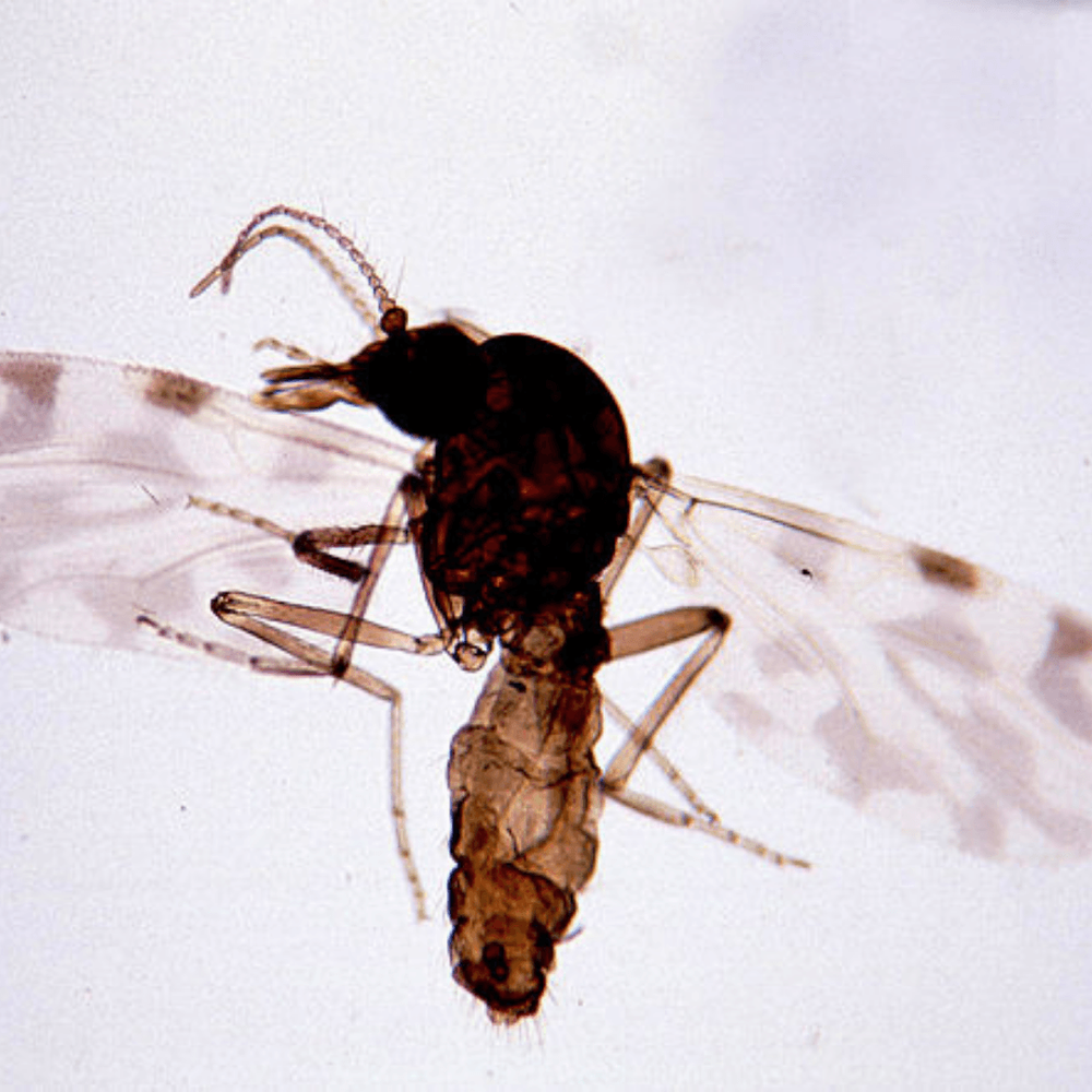 Imagen Principal de la actividad