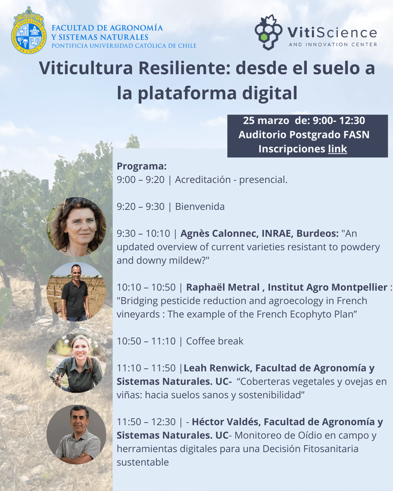 Imagen Principal de la actividad