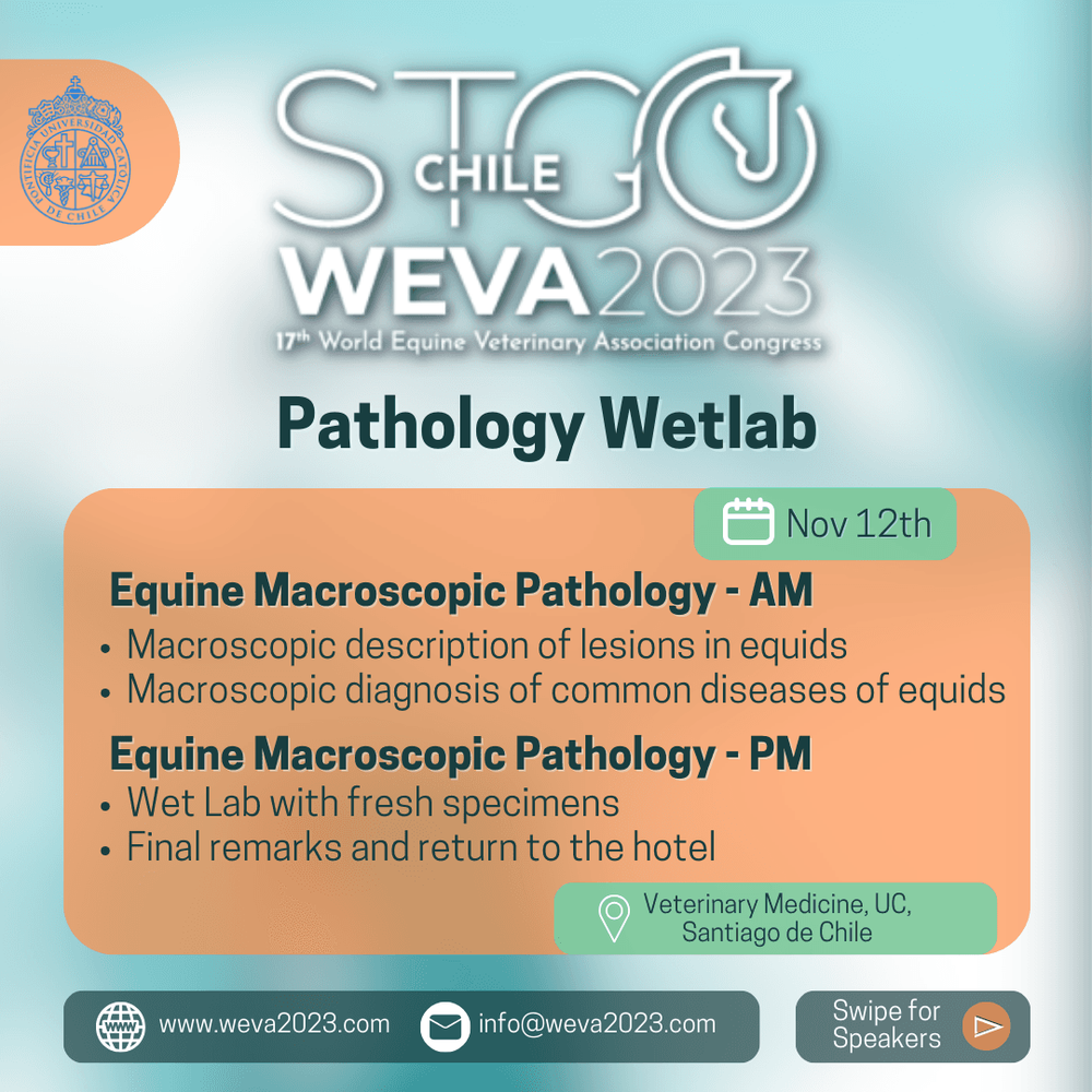 Imagen Principal de la actividad