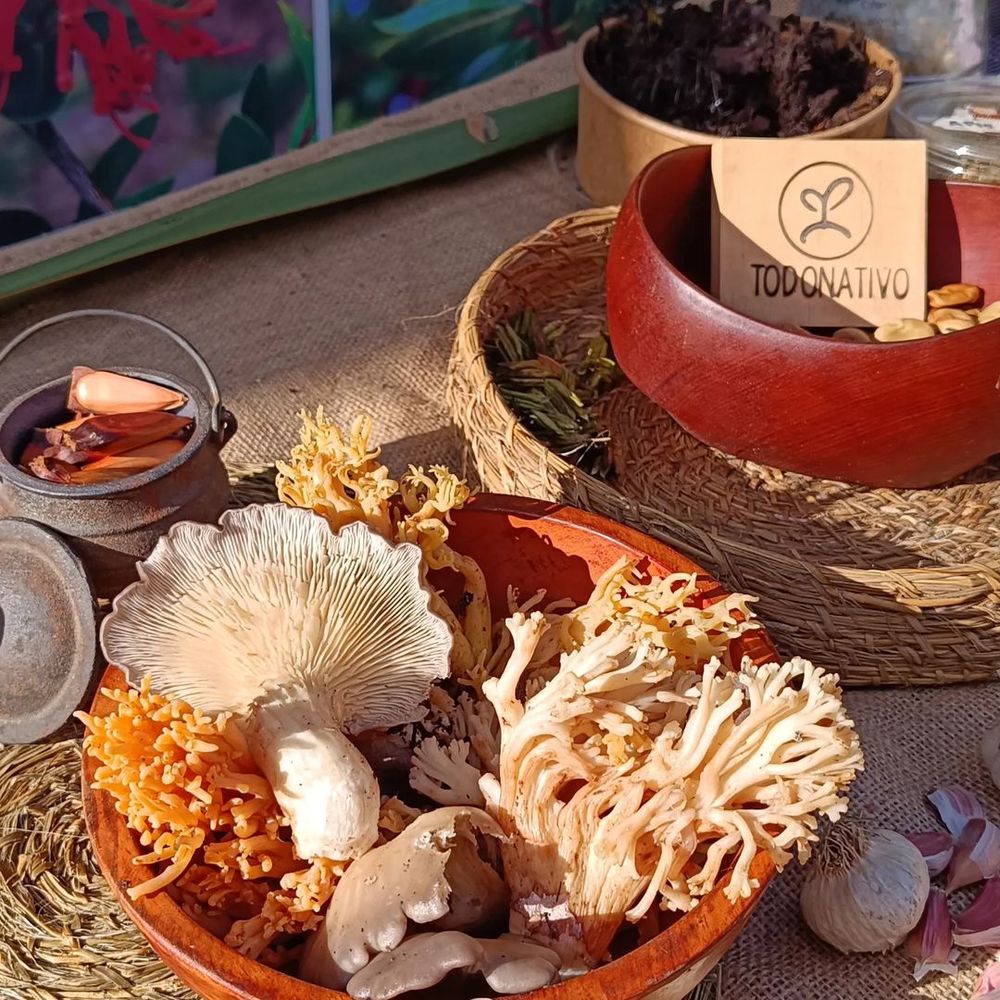 aceites esenciales y cosmética natura