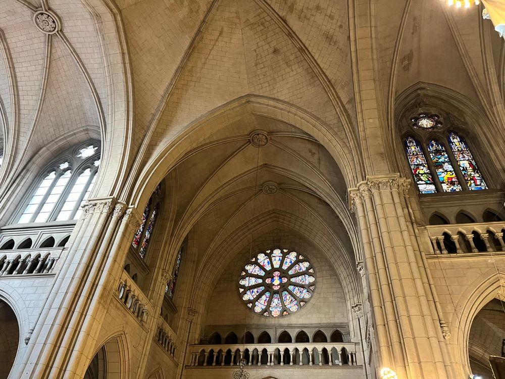 Imagen Principal de la actividad