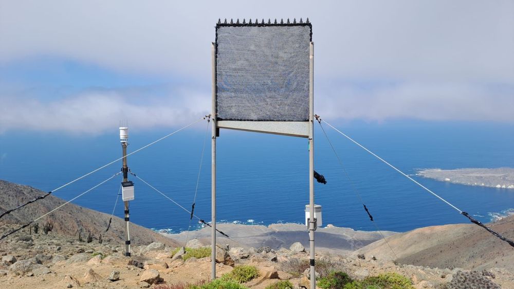 Imagen Principal de la actividad