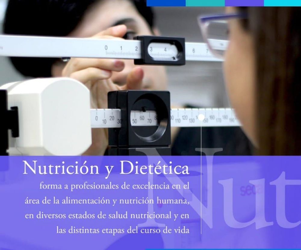 Imagen Principal de la actividad