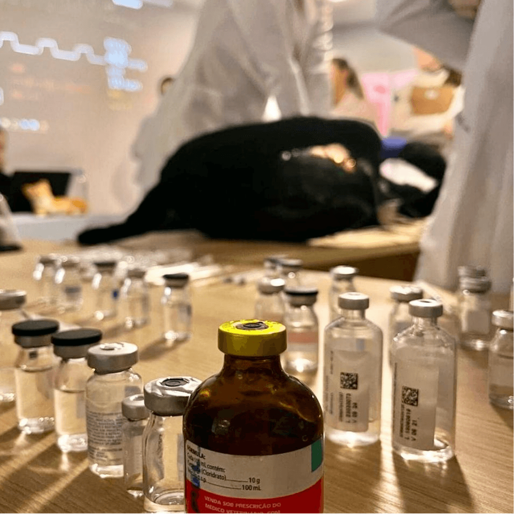 Imagen Principal de la actividad