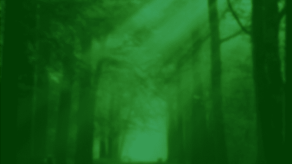 Imagen Principal de la actividad