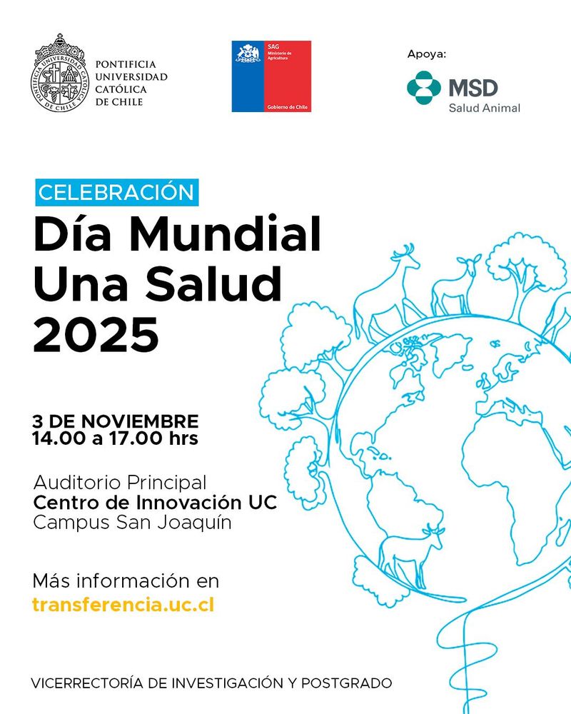 Imagen Principal de la actividad