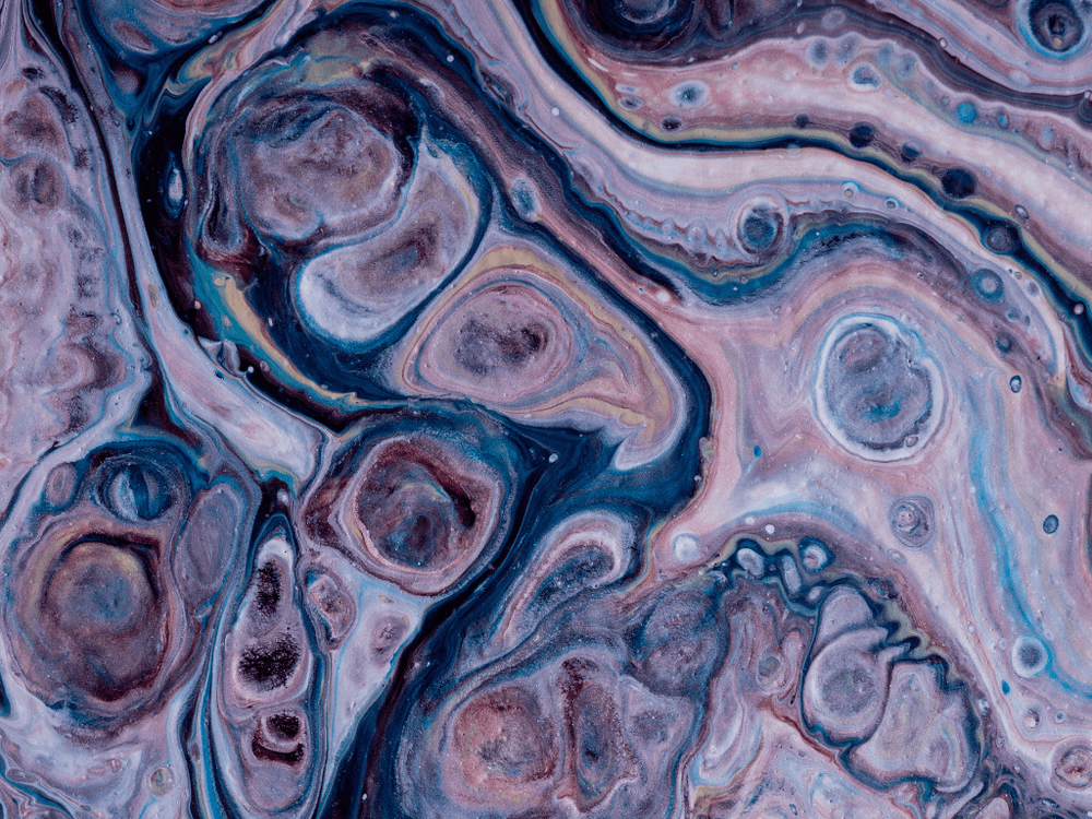 Imagen Principal de la actividad