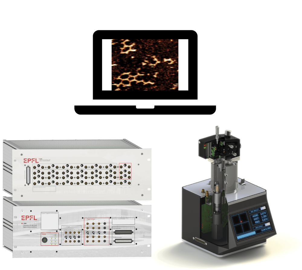 Imagen Principal de la actividad