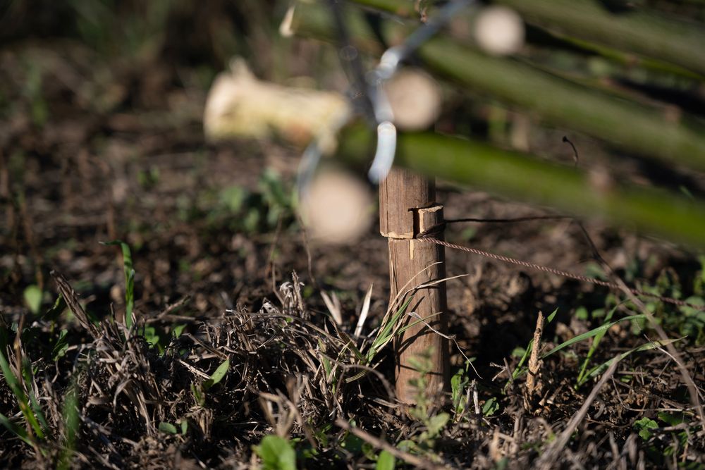 Imagen Principal de la actividad