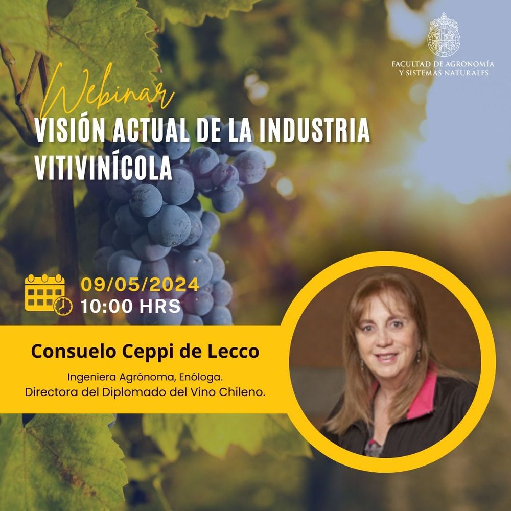 Imagen Principal de la actividad