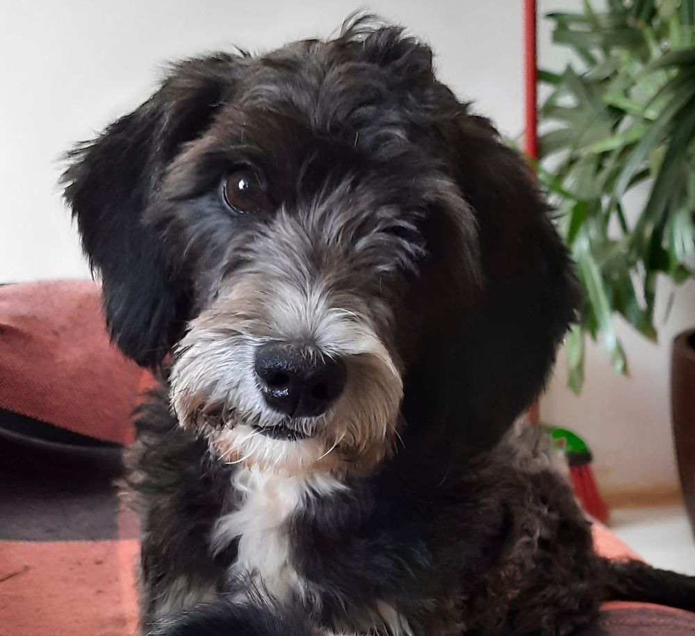 Imagen Principal de la actividad