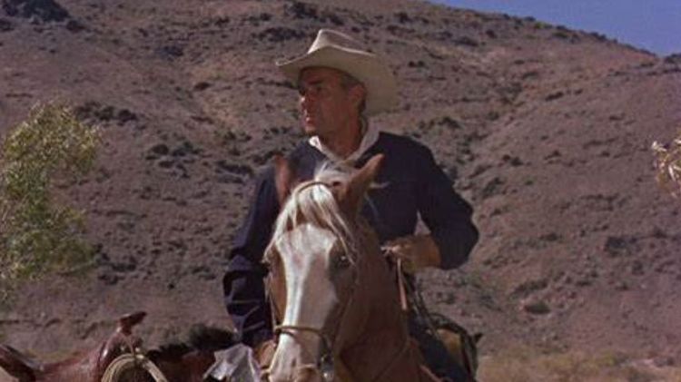 Imagen Principal de la actividad