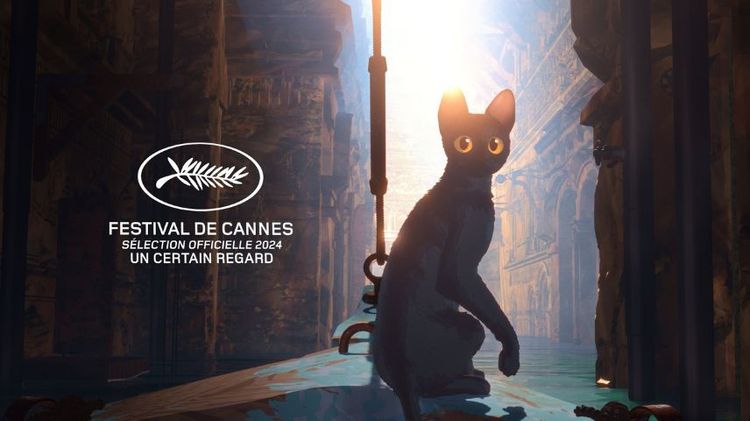 Imagen Principal de la actividad