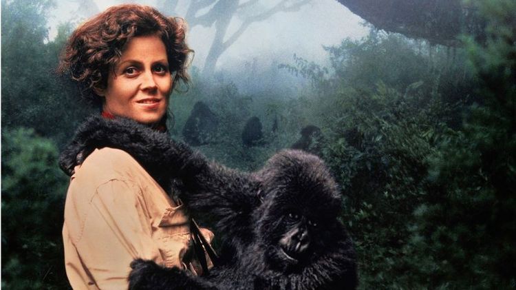 Imagen Principal de la actividad