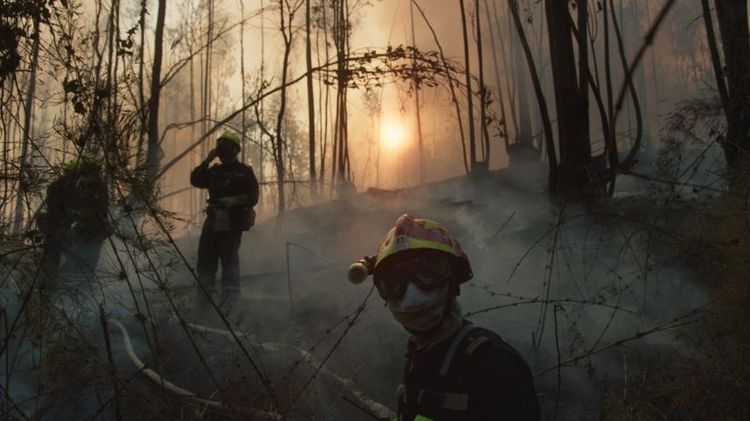 Imagen Principal de la actividad