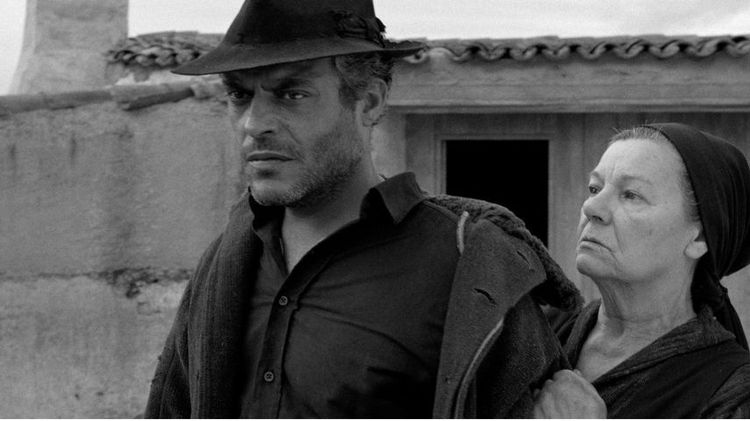 Imagen Principal de la actividad