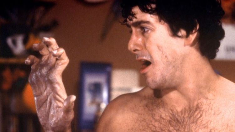 Imagen Principal de la actividad