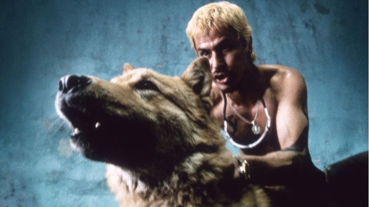 Imagen Principal de la actividad