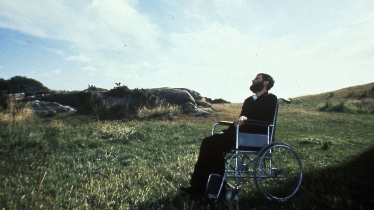 Imagen Principal de la actividad