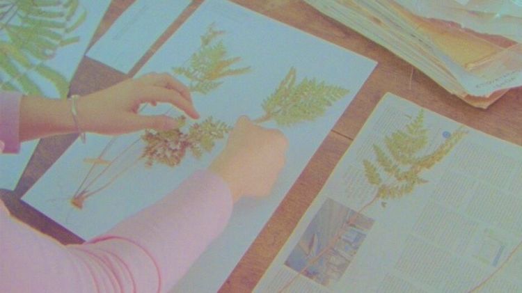 Imagen Principal de la actividad