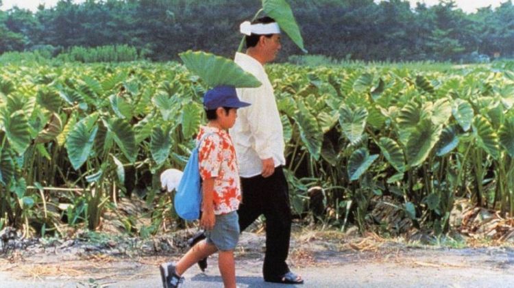 Imagen Principal de la actividad