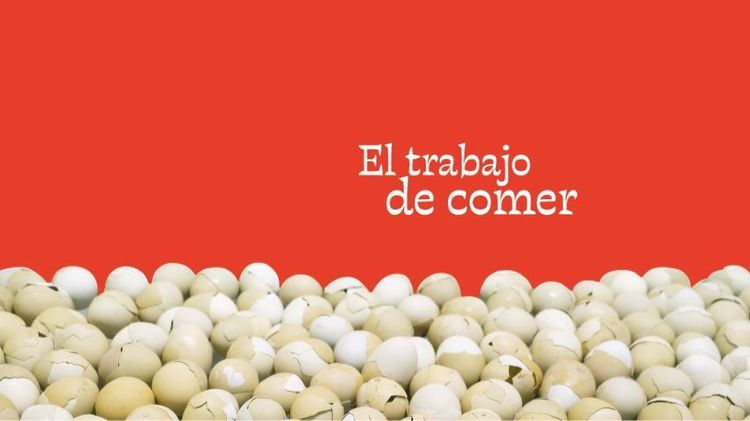 Imagen Principal de la actividad