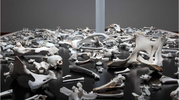 Imagen Principal de la actividad