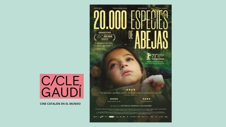 Imagen Principal de la actividad