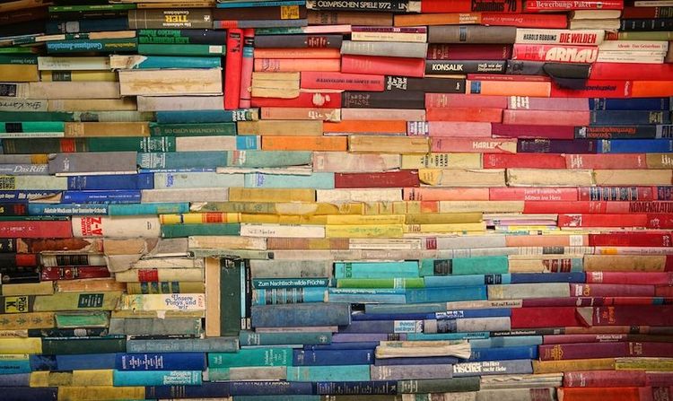 Imagen de muchos libros ordenados en horizontal según una gama de colores.