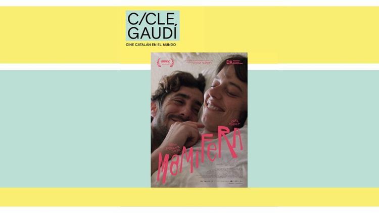 Imagen Principal de la actividad