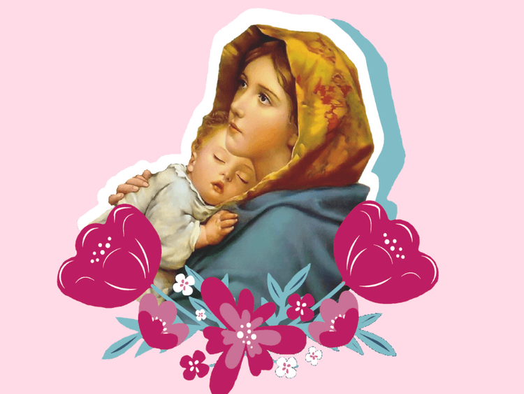 Imagen Principal de la actividad