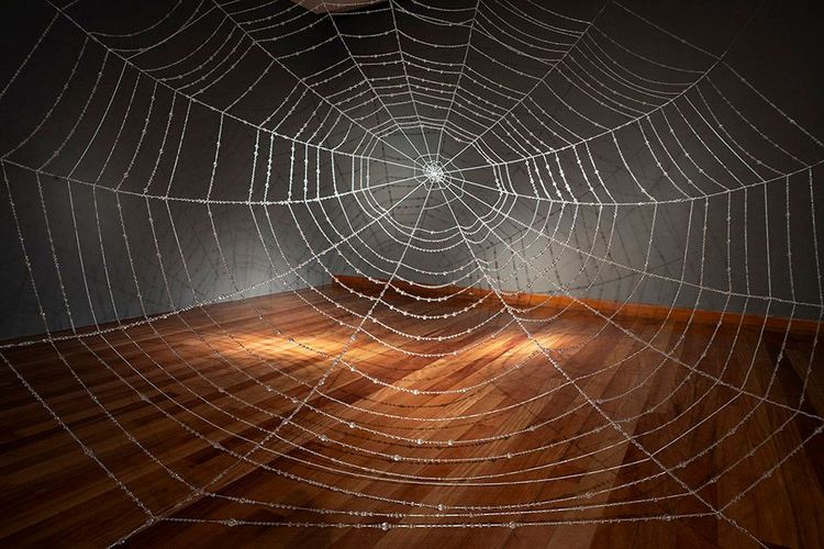 En la imagen, una tela de araña gigante en una sala vacía