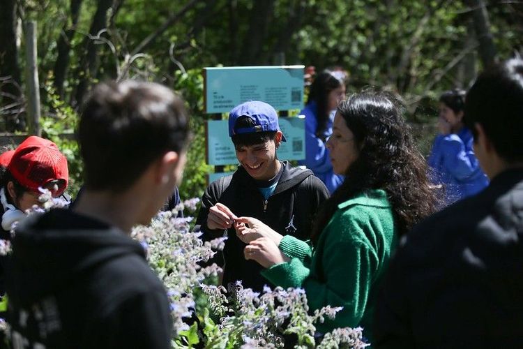 Guiado Museo Interactivo Regional de Agroecología y Sustentabilidad (MIRAS) / Reflexiones de la cuenca del mallolafken