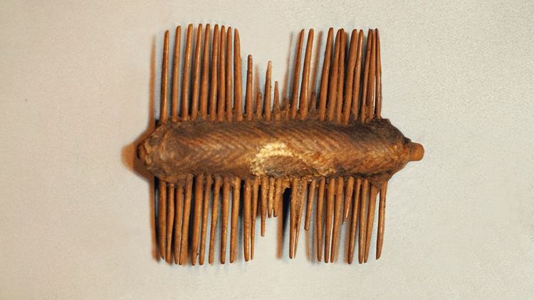 Imagen Principal de la actividad