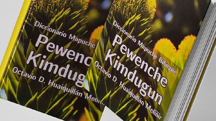 Imagen Principal de la actividad