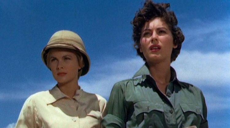 Imagen Principal de la actividad