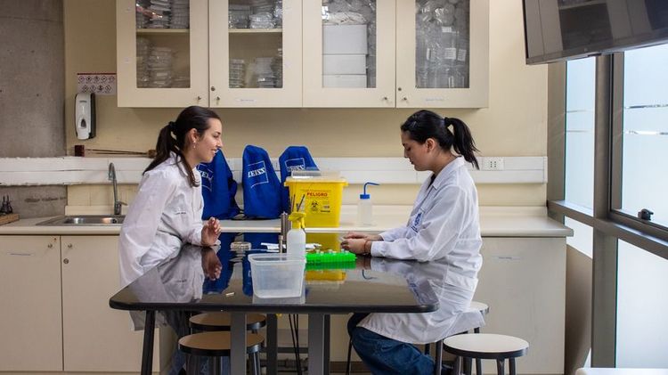 Estudiantes de la Facultad de Ciencias Biológicas trabajando en el laboratorio
