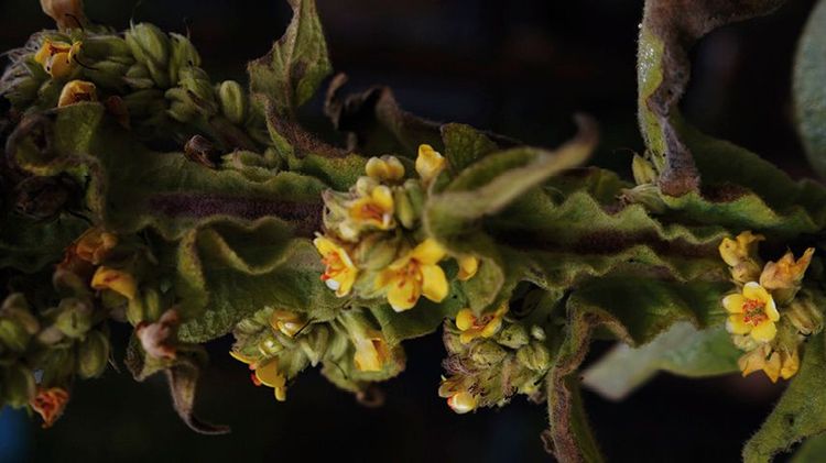 Imagen Principal de la actividad