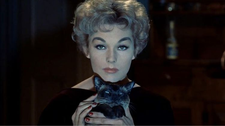 Imagen Principal de la actividad