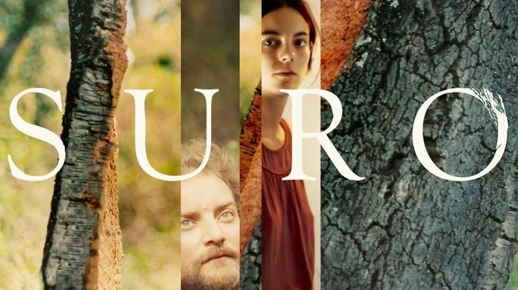 Imagen Principal de la actividad