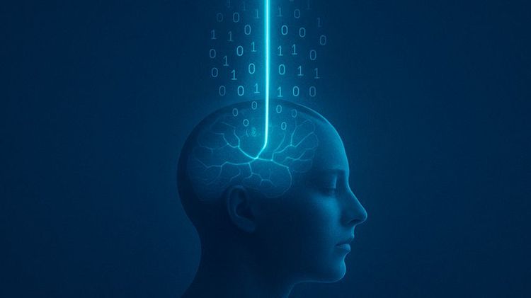 Imagen Principal de la actividad