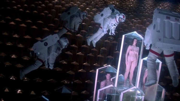 Imagen Principal de la actividad