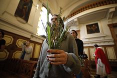 Primer plano de un ramo 