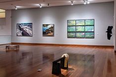 Imagen de la galería